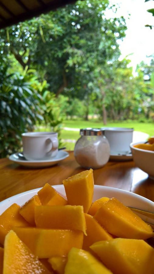 Mango Tree Inn Pemuteran Zewnętrze zdjęcie