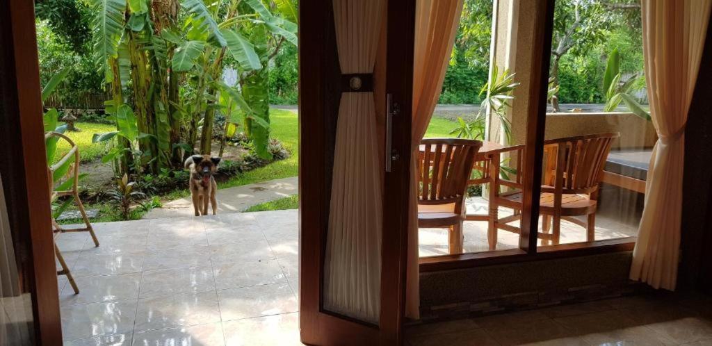 Mango Tree Inn Pemuteran Zewnętrze zdjęcie