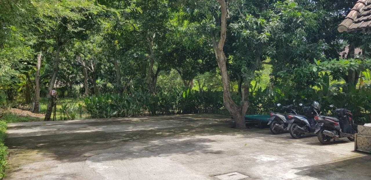 Mango Tree Inn Pemuteran Zewnętrze zdjęcie